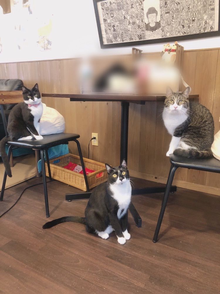 mimiさんが投稿した果子乃季 岩国店に関する口コミの画像