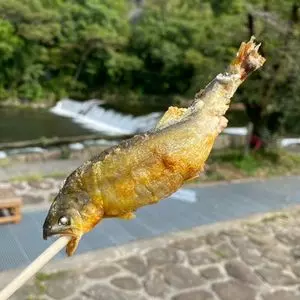 若あゆ