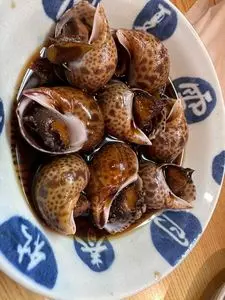 富士