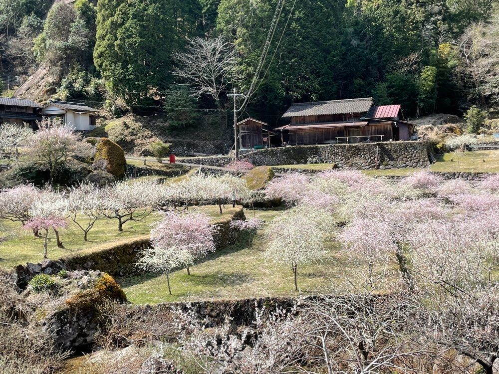 Mitsuさんが投稿した画像の画像