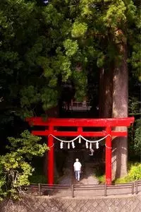 須山浅間神社社叢