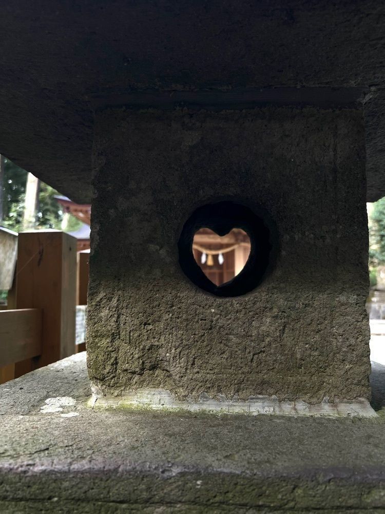 ビンカさんが投稿した須山浅間神社社叢に関する口コミの画像