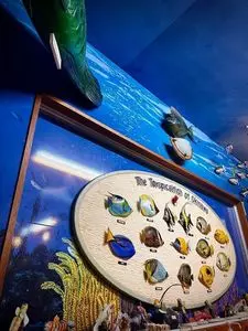 魚屋直営食堂 魚まる 3枚目