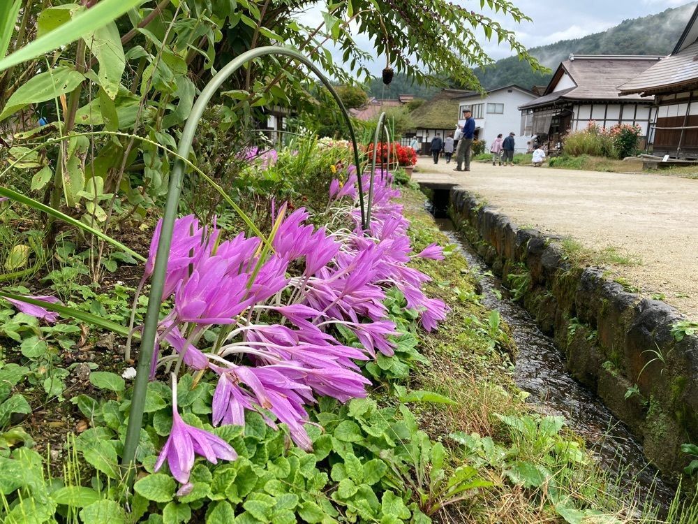 Howl Monさんが投稿した分家玉や（ぶんけたまや）に関する口コミの画像