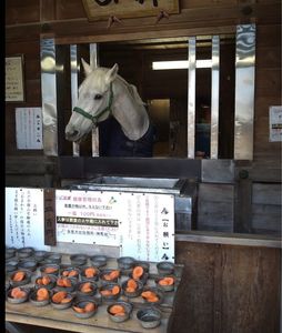 多度大社(北伊勢大神宮) 3枚目