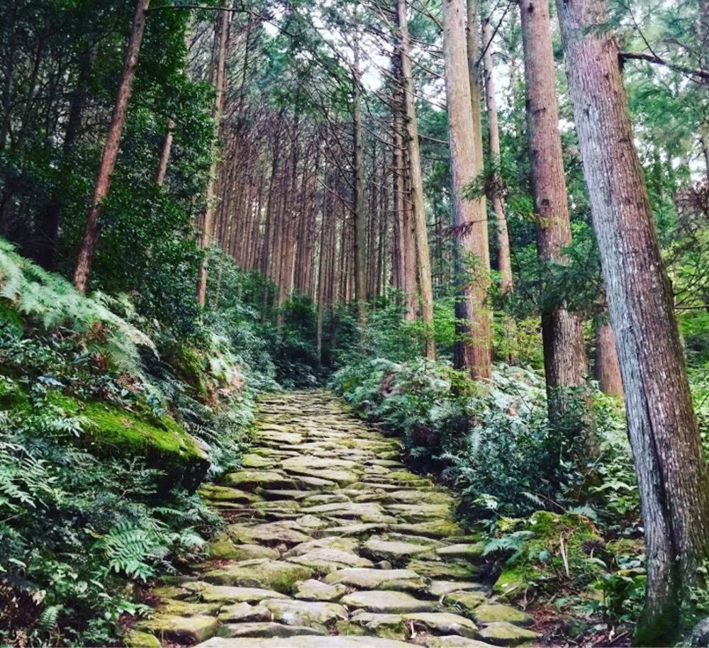 ＤＪゴン太さんが投稿した熊野古道馬越峠に関する口コミの画像
