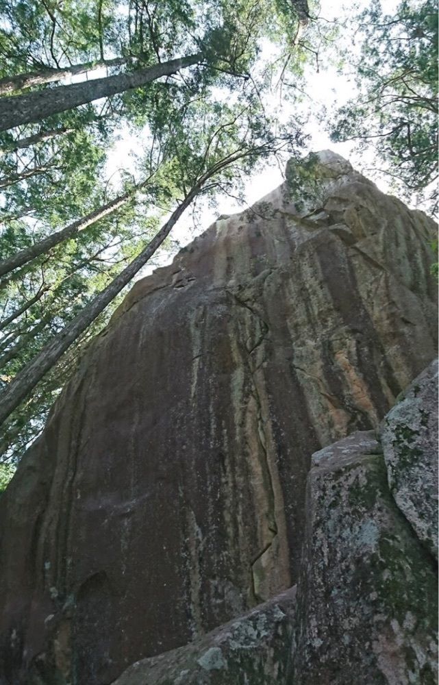 ＤＪゴン太さんが投稿した熊野古道馬越峠に関する口コミの画像