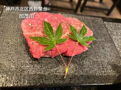 加茂川