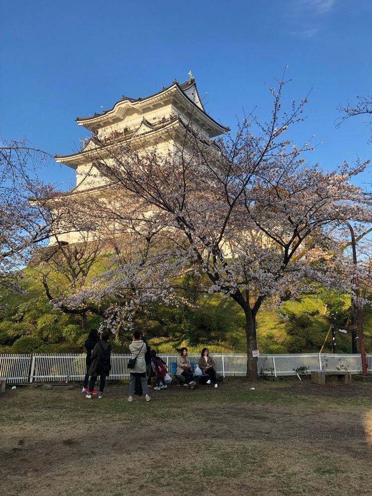 Akemiさんが投稿した小田原城に関する口コミの画像