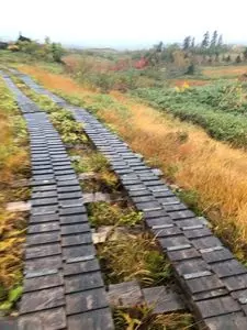 立山高原ホテル