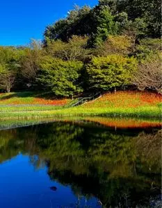 万葉庭園