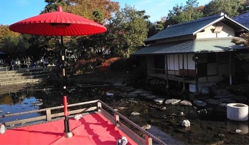 白鳥庭園 8枚目