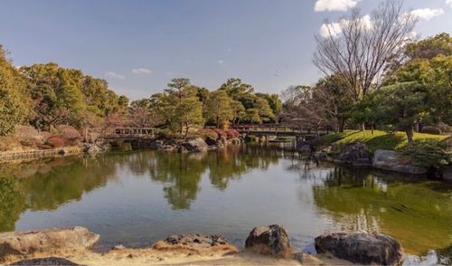 白鳥庭園 7枚目