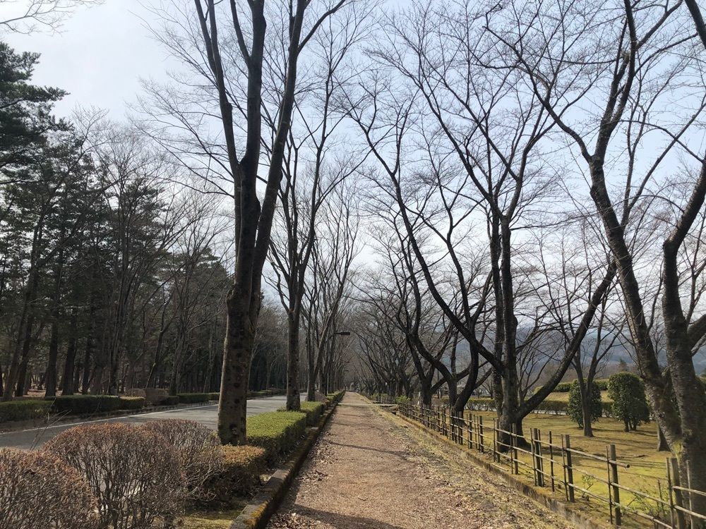 choco mintさんが投稿したあづま総合運動公園に関する口コミの画像