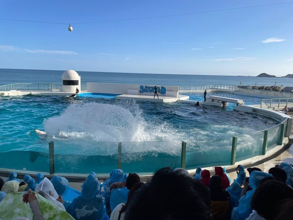 ヒデやんさんが投稿したシーガルダイナー（SEAGULL DINER）に関する口コミの画像