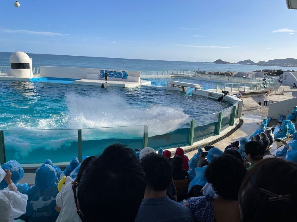 ヒデやんさんが投稿したシーガルダイナー（SEAGULL DINER）に関する口コミの画像