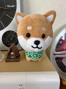 Pasar 羽生 ( 羽生PA下り線 )