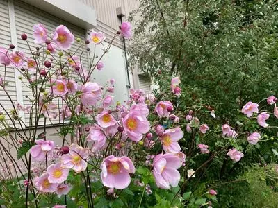 中津川渓谷