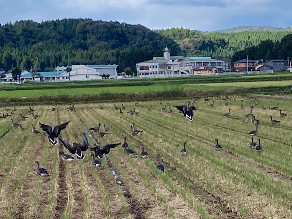 Howl Monさんが投稿したいわかがみ平の紅葉に関する口コミの画像