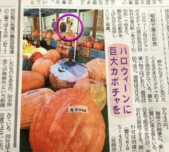 道の駅 あぐりーむ昭和