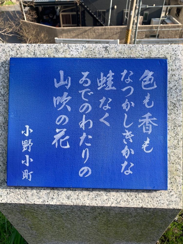 blossom&C7さんが投稿した井手町野外活動センター大正池グリーンパークに関する口コミの画像