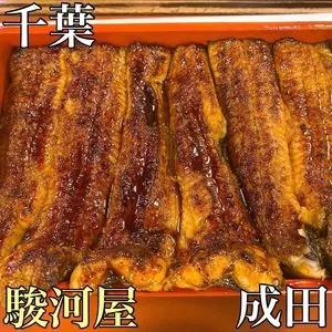駿河屋