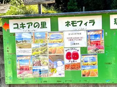 松田山みかんの里　内藤園