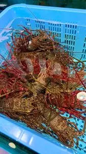 魚平（ウオヘイ）