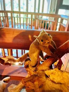 またぎの館
