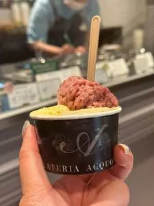 ジェラテリア アクオリーナ（GELATERIA ACQUOLINA）
