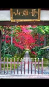 鹿王院