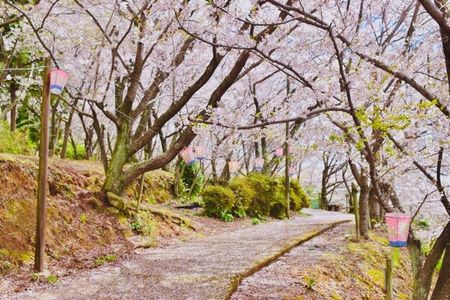 正福寺山公園
