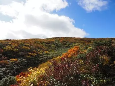 栗駒山 3枚目