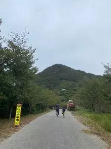 稲積山