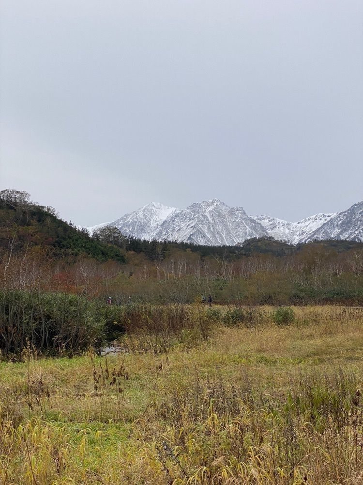 かよこさんが投稿した栂池自然園 ビジターセンターに関する口コミの画像