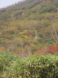 栂池自然園 ビジターセンター