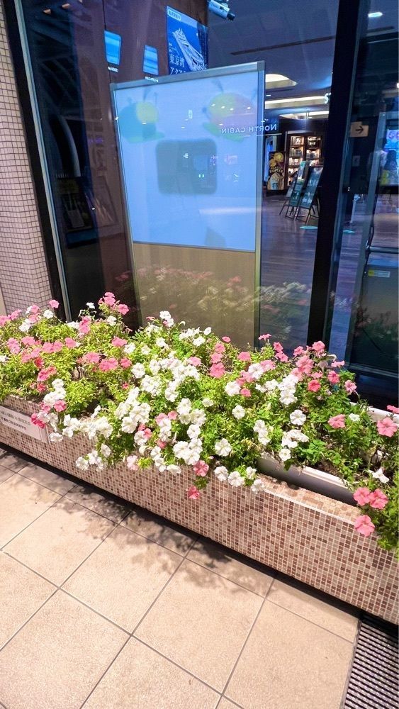 miiさんが投稿した木更津庵（きさらづあん）に関する口コミの画像
