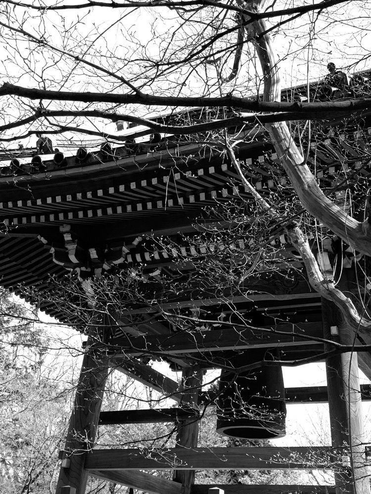 junkunさんが投稿した石神井池に関する口コミの画像