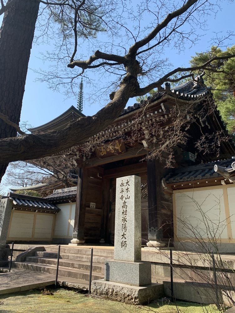 junkunさんが投稿した石神井池に関する口コミの画像