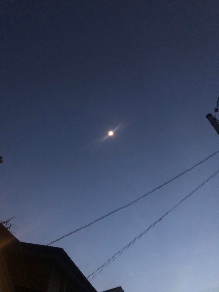 らぐ🏉🍺ビアさんが投稿した八幡すしべん 高柳店に関する口コミの画像