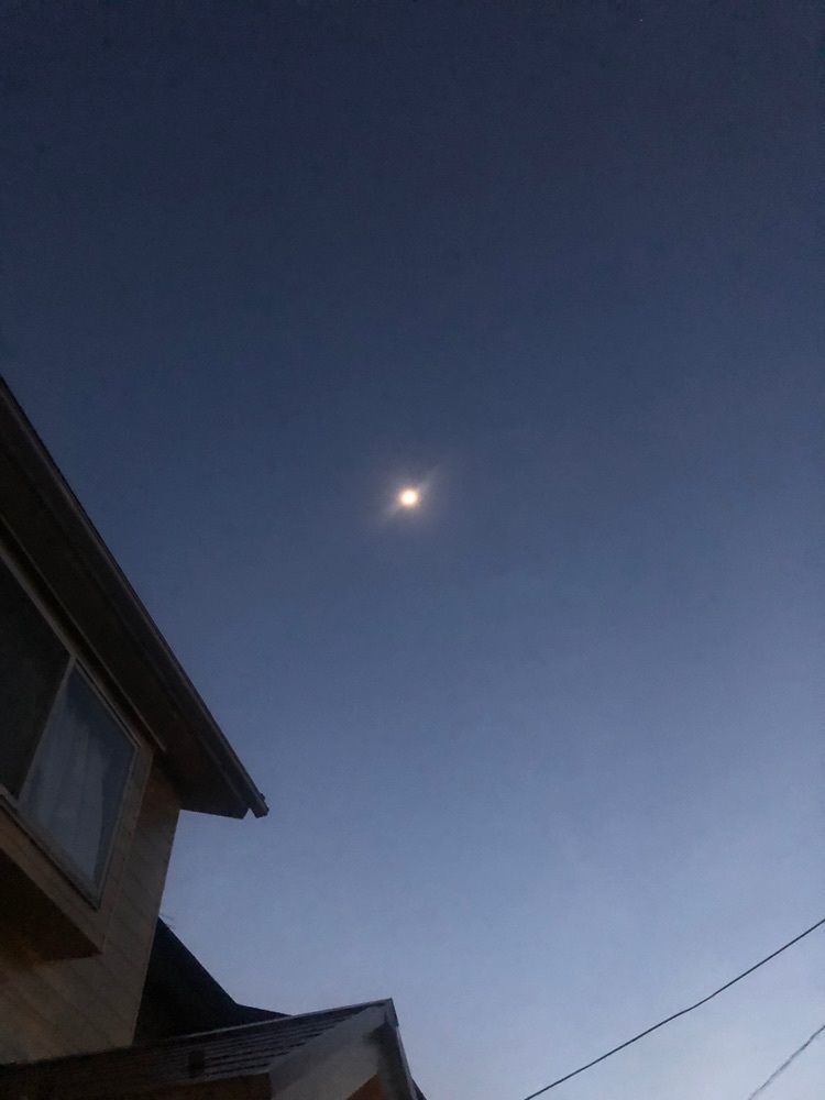 らぐ🏉🍺ビアさんが投稿した八幡すしべん 高柳店に関する口コミの画像