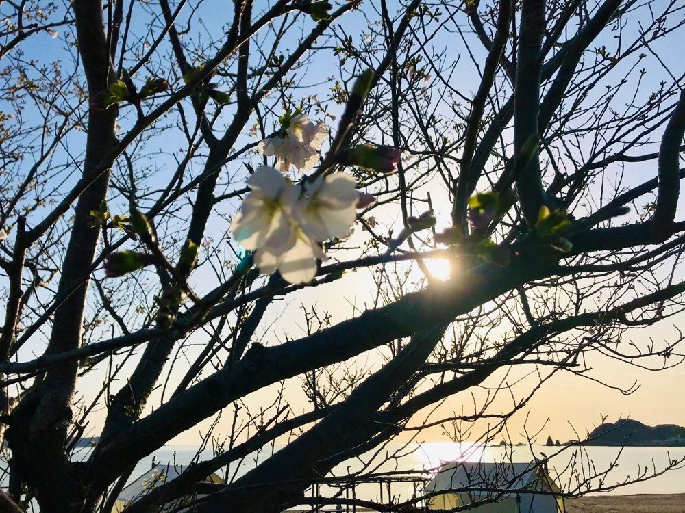 K♡︎ᵎᵎᵎさんが投稿したブルービーチナチカフェ（BLUE BEACH NACHI CAFE）に関する口コミの画像