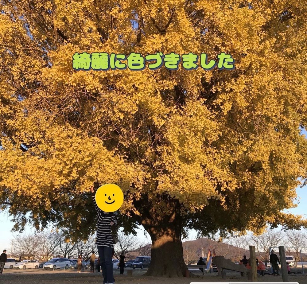 DREAMさんが投稿した大和の大いちょうに関する口コミの画像