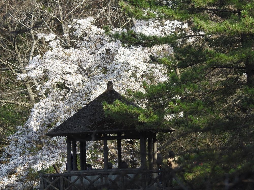 junkunさんが投稿した豊島屋（石神井公園　御休憩所）に関する口コミの画像