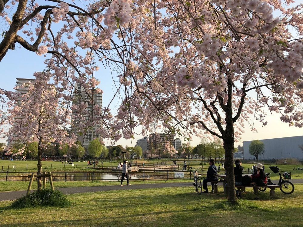 Akemiさんが投稿した都立・尾久の原公園に関する口コミの画像