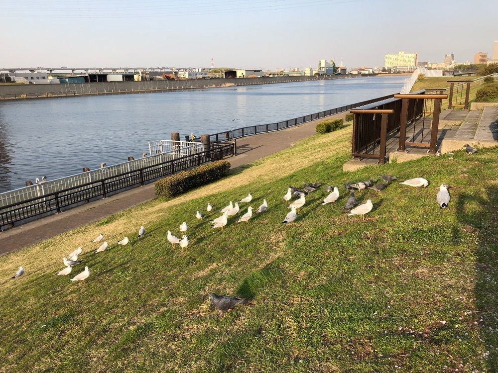 Akemiさんが投稿した都立・尾久の原公園に関する口コミの画像