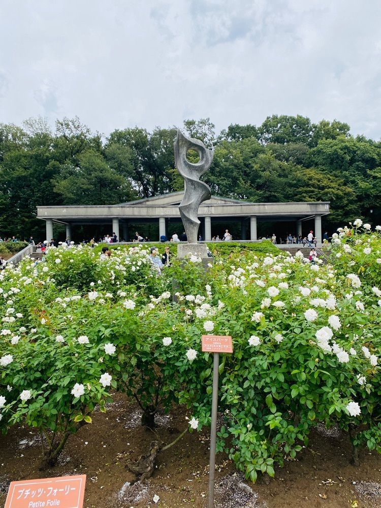 けんけんさんが投稿したローズ カフェ（Rose cafe）に関する口コミの画像