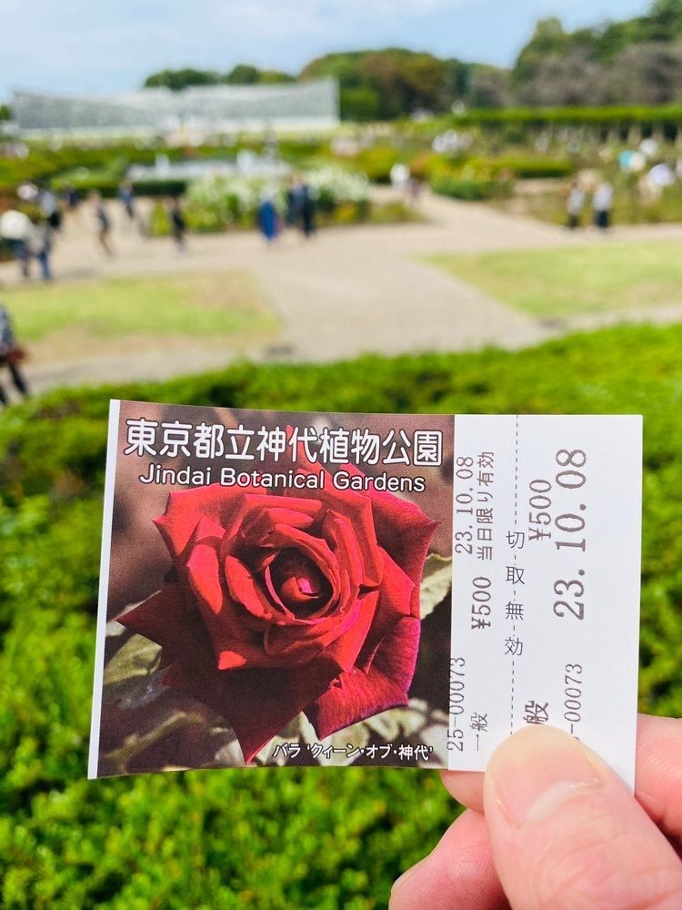 けんけんさんが投稿したローズ カフェ（Rose cafe）に関する口コミの画像