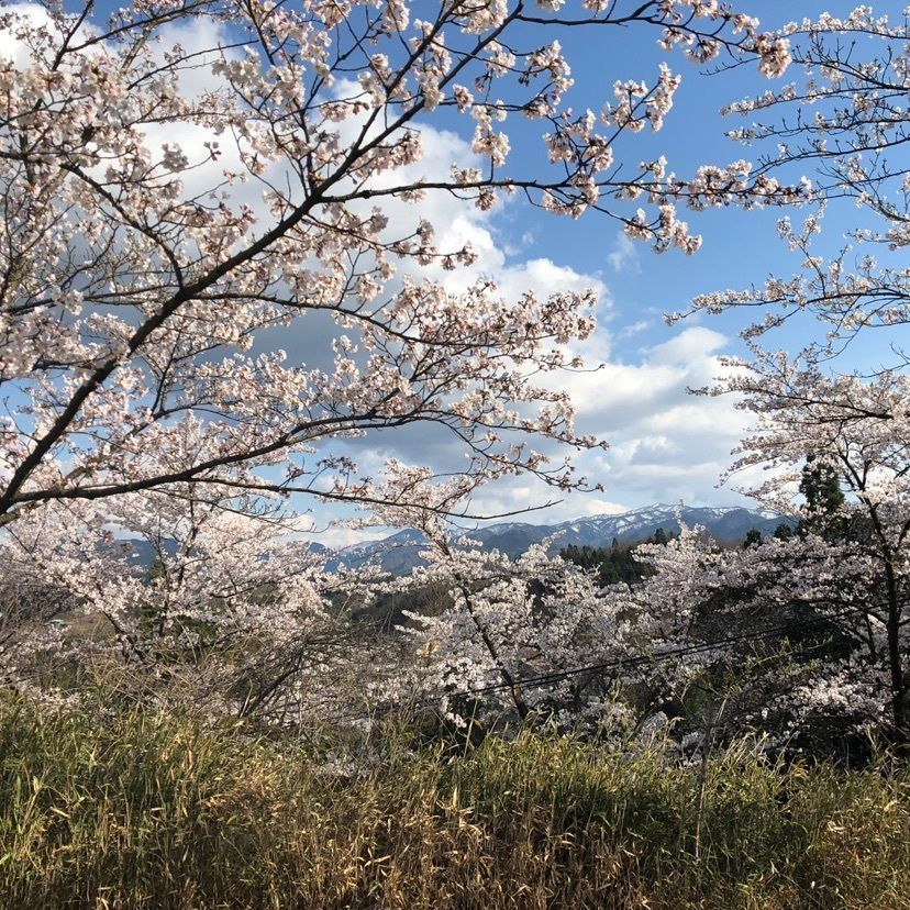 calm_anniversary_8accさんが投稿した城ケ山公園に関する口コミの画像
