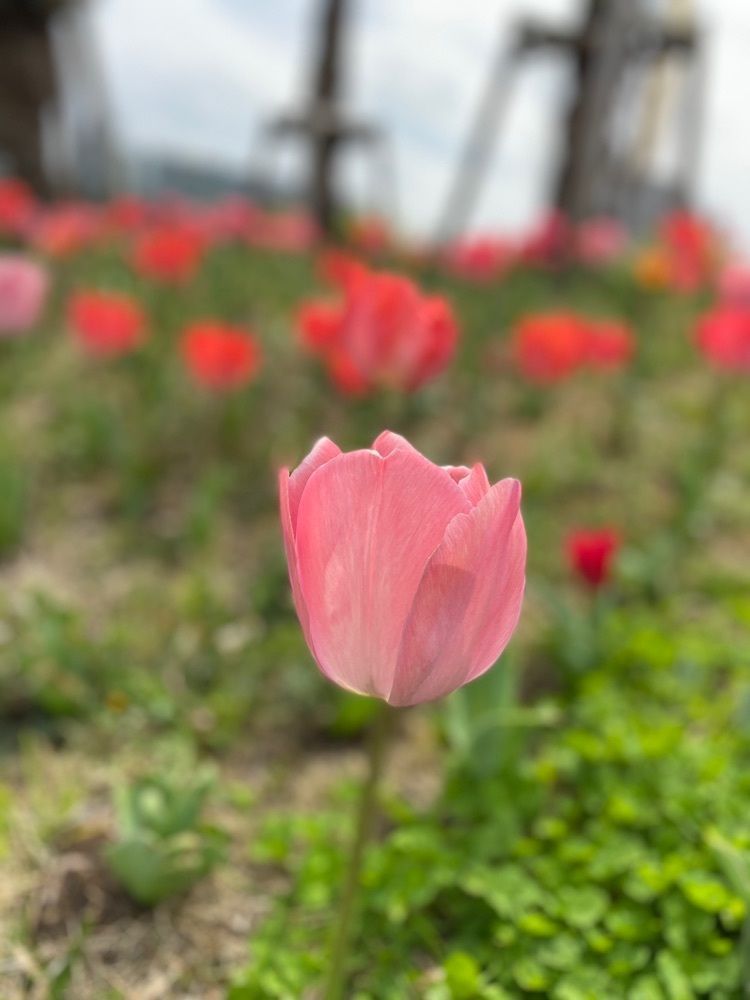 🤎アイヒンまま🤎さんが投稿したお台場に関する口コミの画像